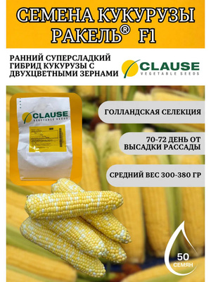 Семена кукурузы